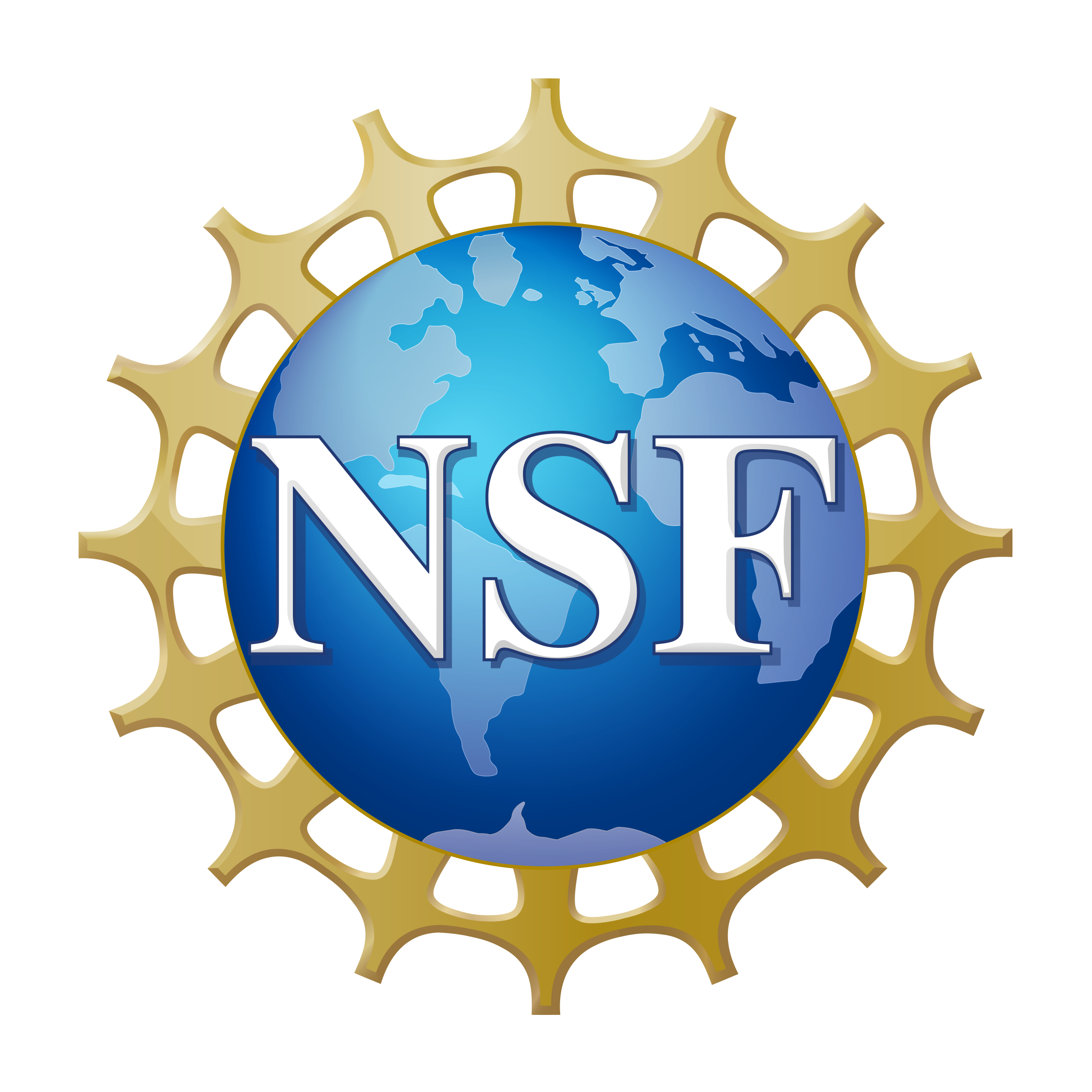 NSF official logo