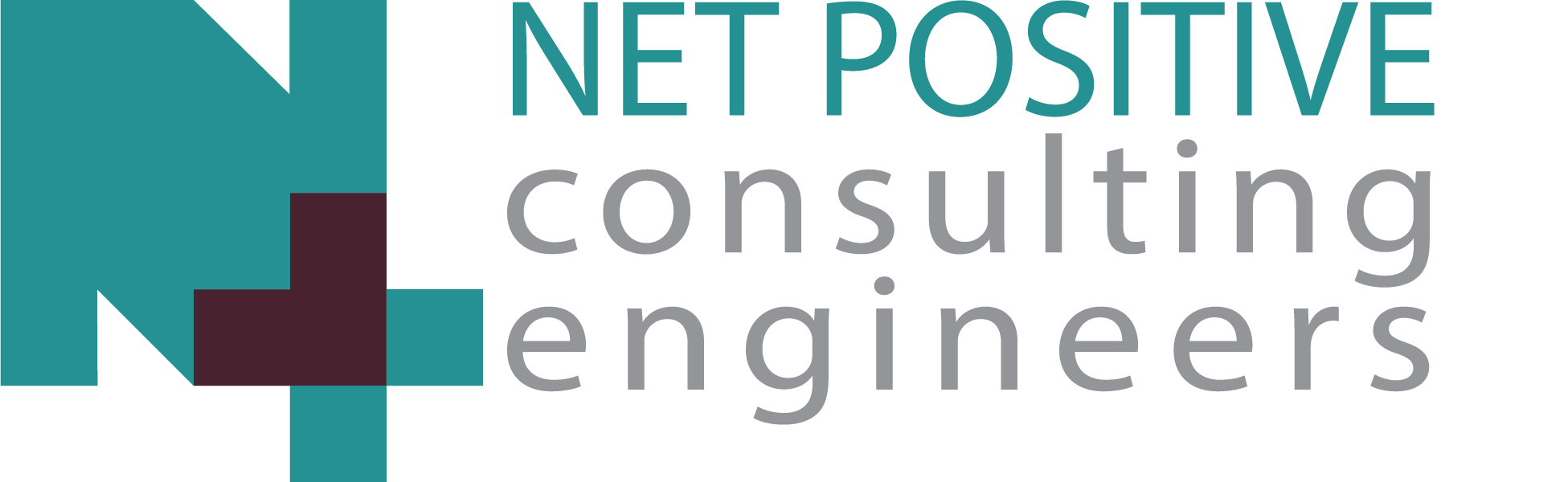 Net Positive logo 