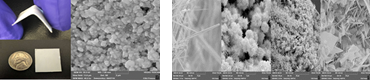 Scanning electron micrographs of the cross-section and synthesized thin film surface of active nanocomposite thin films, ZnO nanostructures such as nanowires, nano-flowers, and nanoflakes 